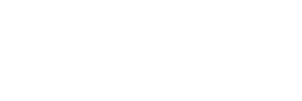 Diplomatic Language Services Language And Culture Services