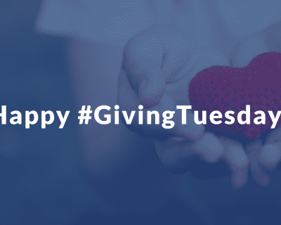 DLS Giving Tuesday blog post